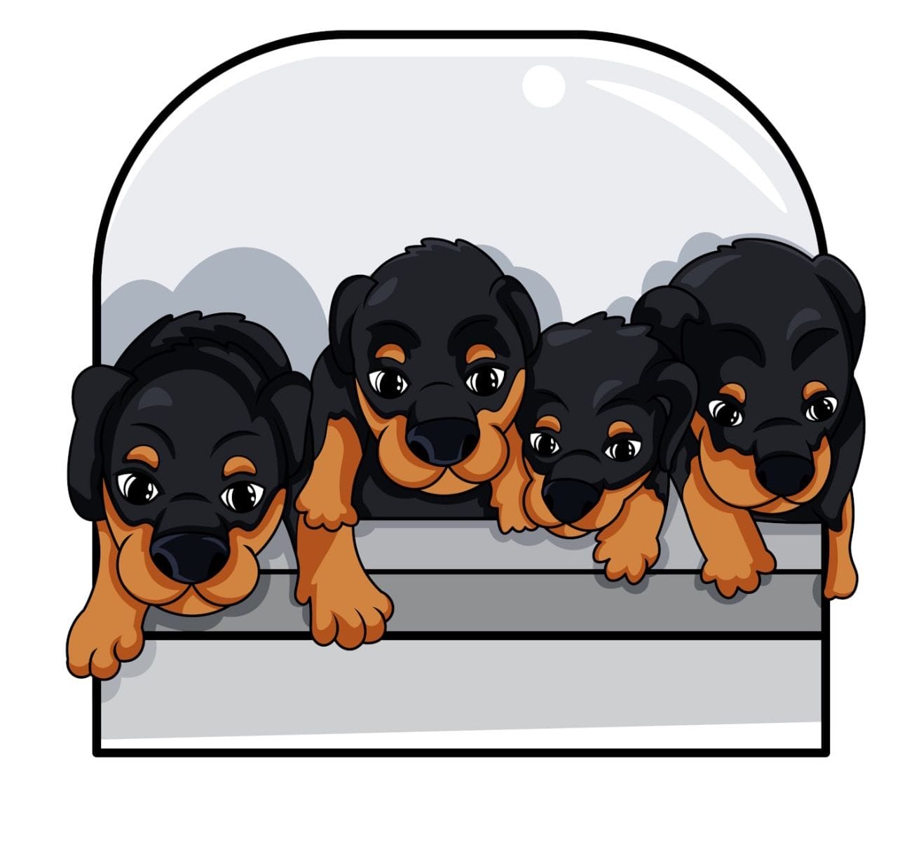 ApplicationImage