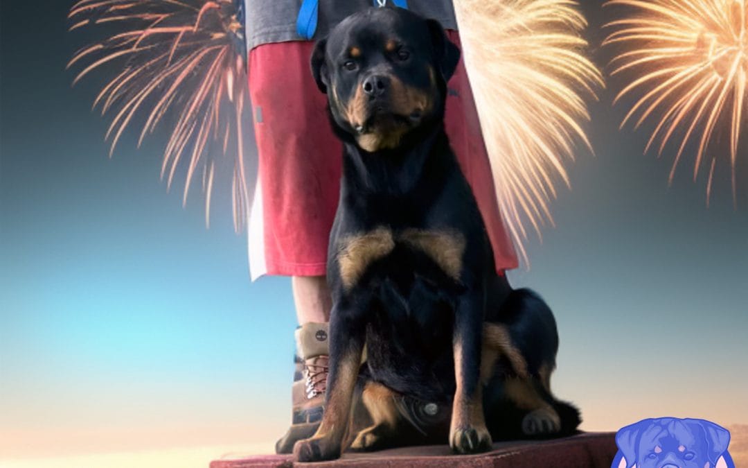 4th of July 2