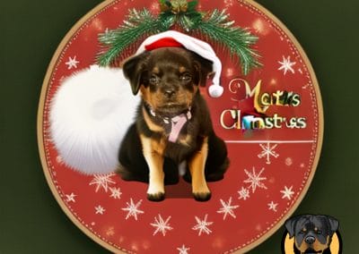 Christmas 4