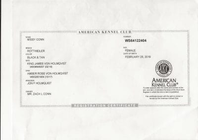 Missy American Kennel Club Registration Certificate