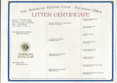 July 12, 2022 Litter Certificate